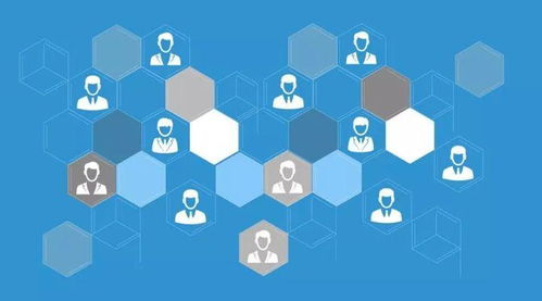 百科創建和內容策劃怎么做