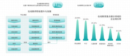 太和顧問 教育內卷 下,在線教育瘋狂擴張