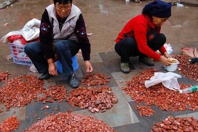 南紅之謎:為啥南紅原石要砸開而不切開?