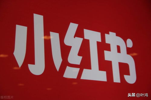 小馬識途營銷顧問分享小紅書推廣方法和策略